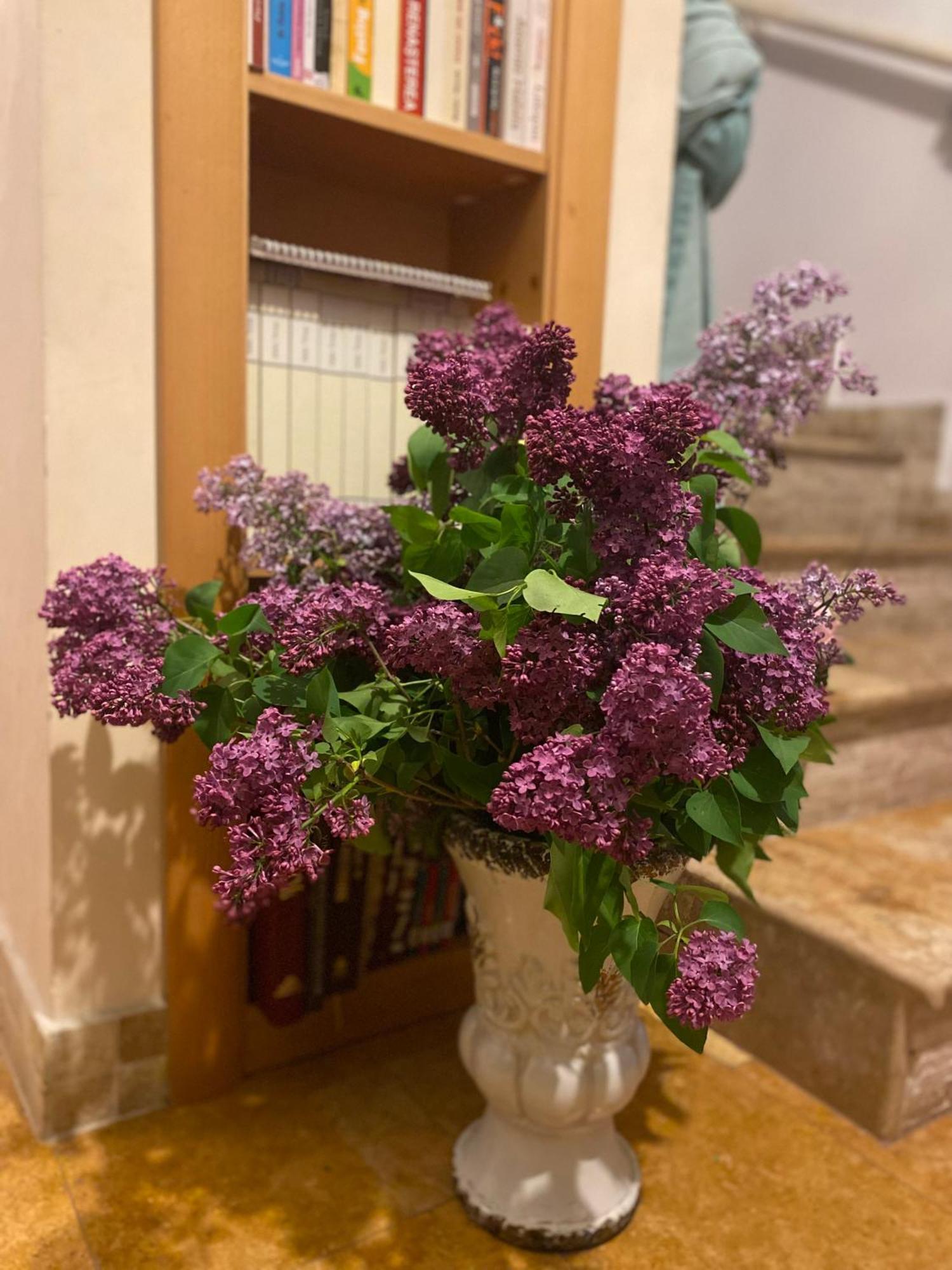 Villa Ronda Ефорие Суд Екстериор снимка